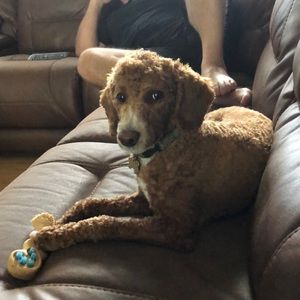 Meet your Posher, Christine